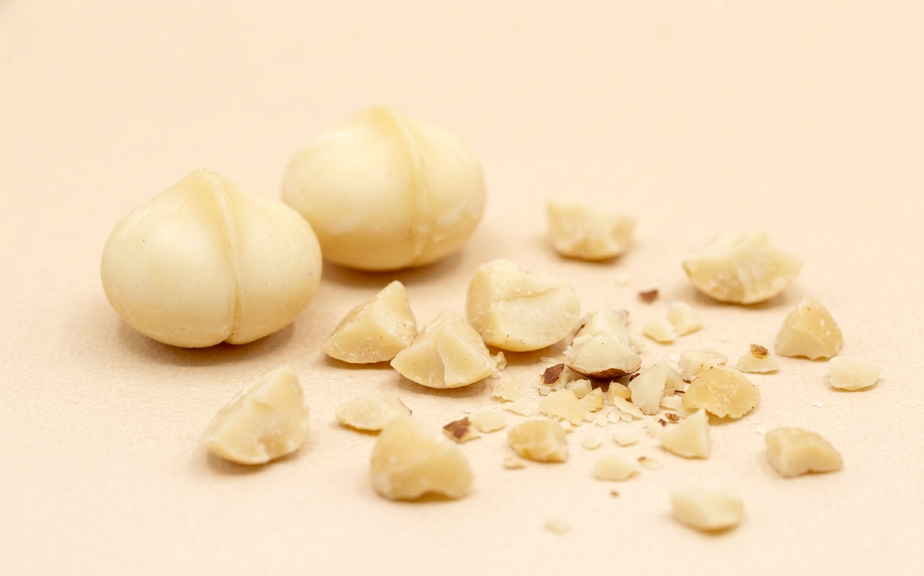 Macadamia Kernel