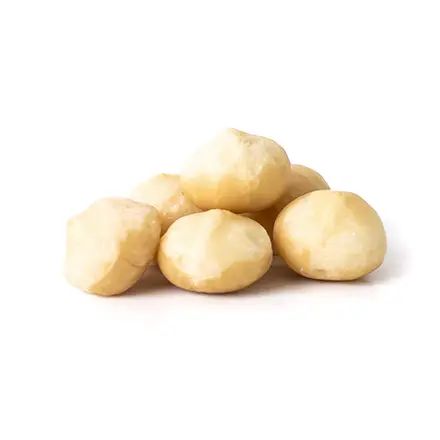 Macadamia Kernel
