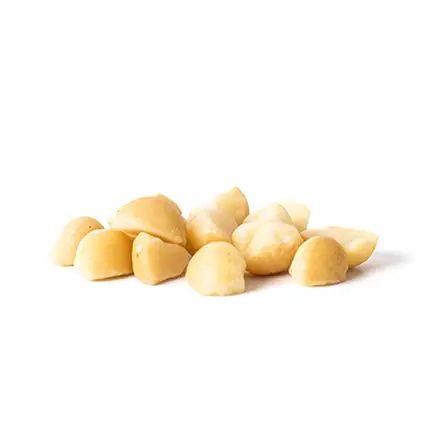 Macadamia Kernel