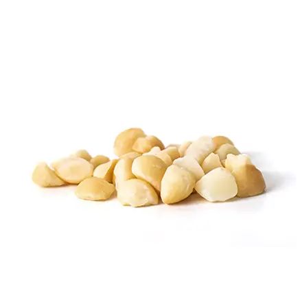 Macadamia Kernel
