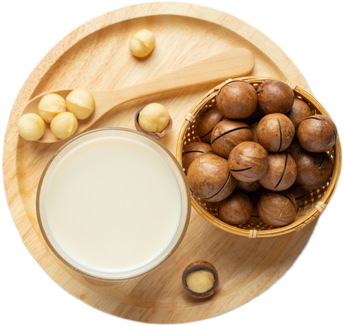 macadamia-white-milk-ready-serve.png__PID:7a1d88f0-89f5-41de-add5-568c6f2f9bcb
